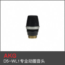 D5-WL1專業(yè)動(dòng)圈音頭