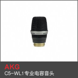 C5-WL1專業(yè)電容音頭